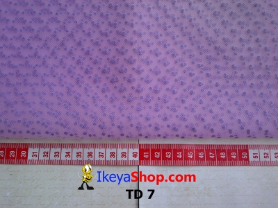 TD 7  large2